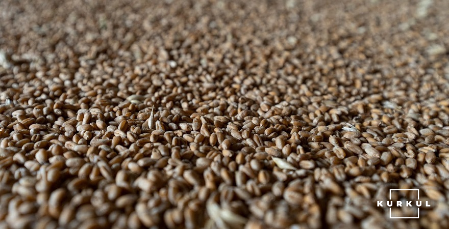9 березня в Україні обмежили експорт пшениці, щоб зберегти запаси для внутрішніх потреб